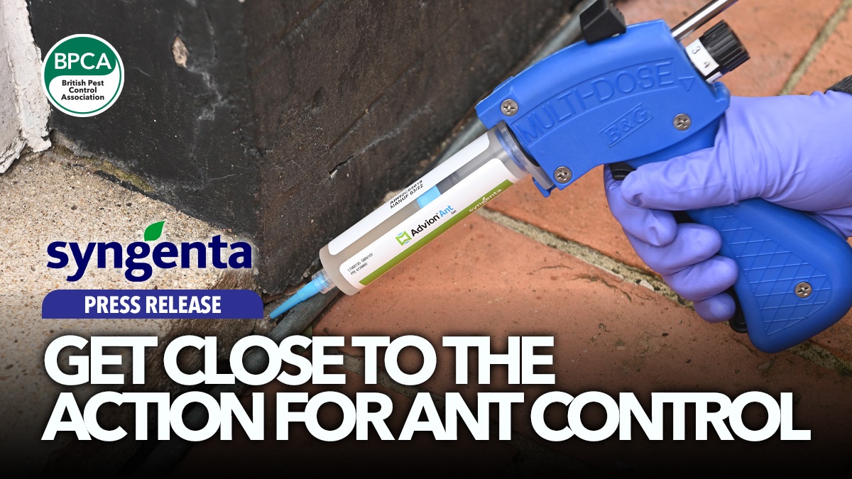 get-close-to-action-ant-control-syngenta-hero